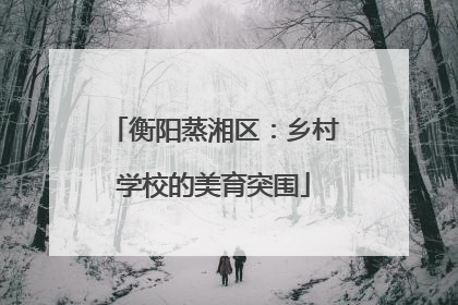 衡阳蒸湘区：乡村学校的美育突围